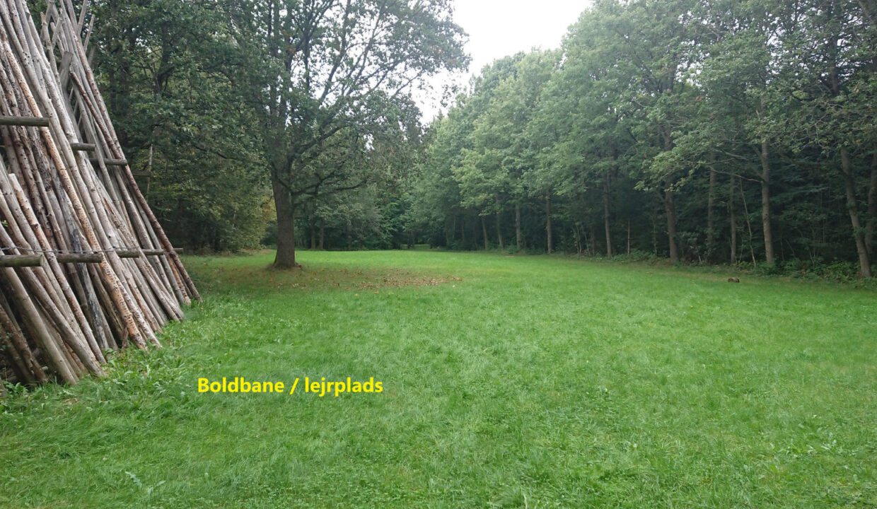 17 Rafter-boldbane CC