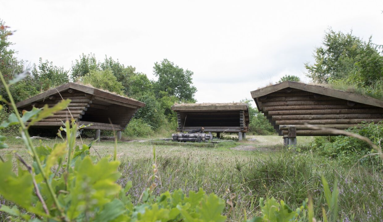 _DSC8403 reduceret 30