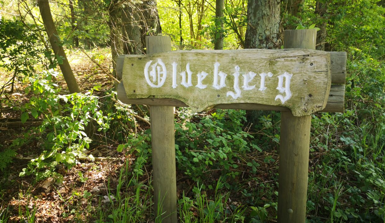 Oldebjerg (4)