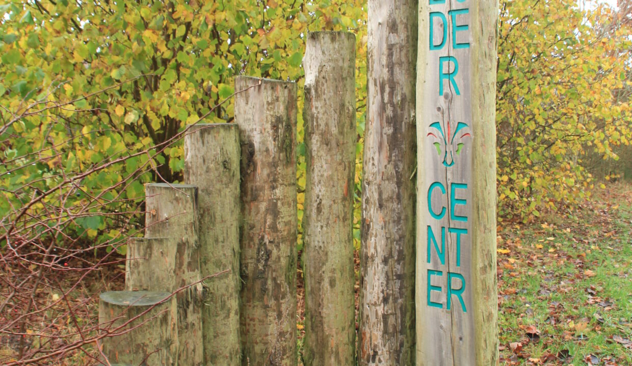 Troldbjerg 21-11-2014 015