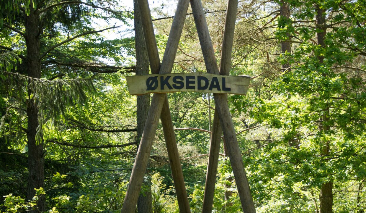 Oksedal-33
