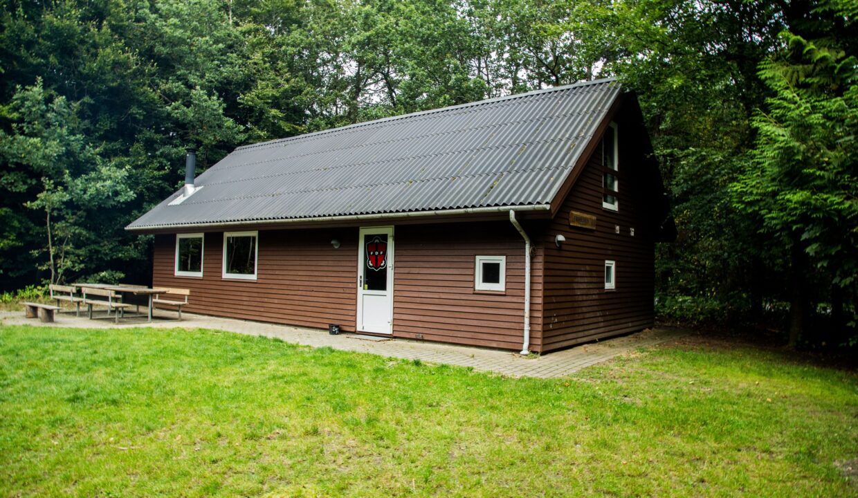 242373176_301996165024580_1294296785246140933_n