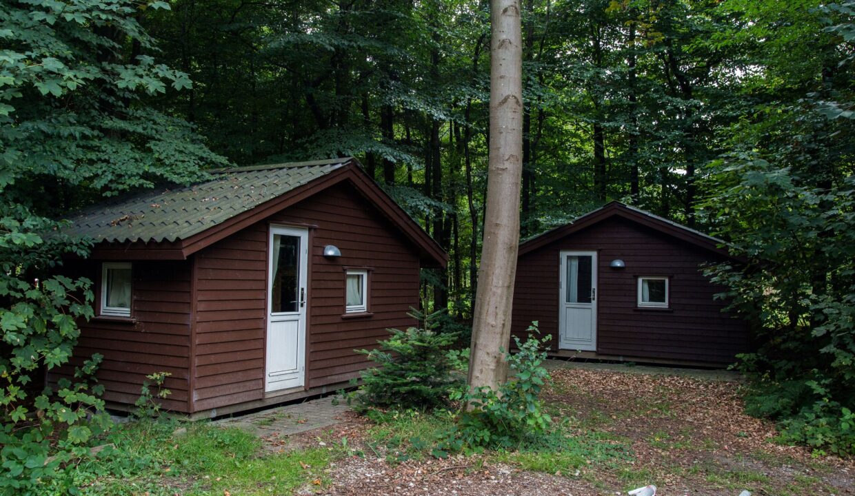 242383265_566944087890432_3359968413185965778_n