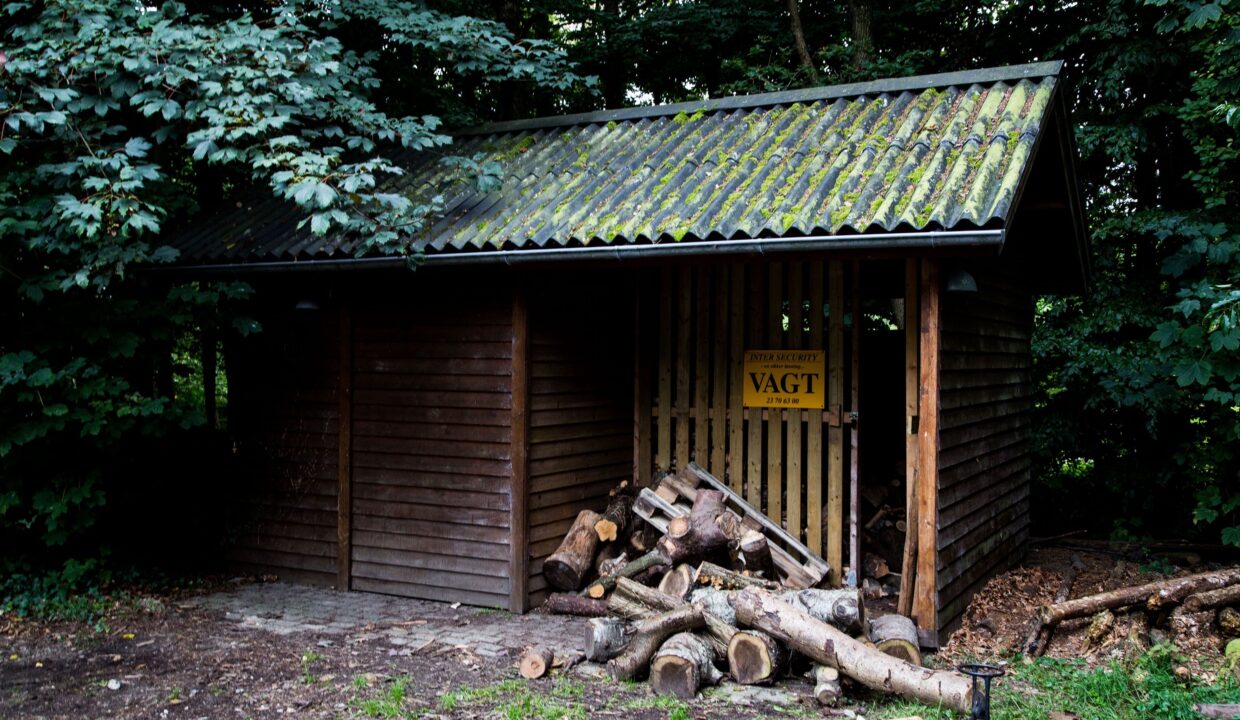 242732654_200244868870357_3021023921908028874_n