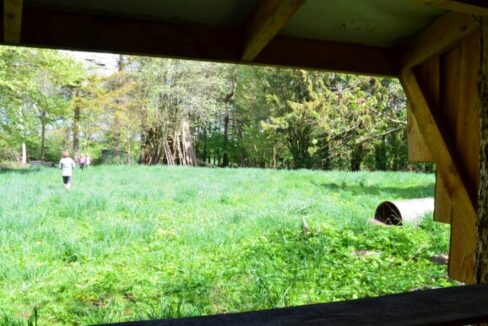 DSC_0303-770x386 (1)