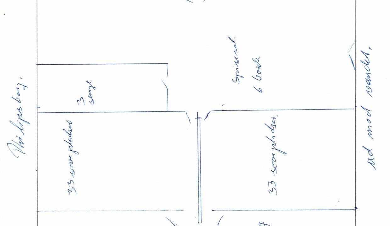 plantegning-Philipsborg (1) conv 1
