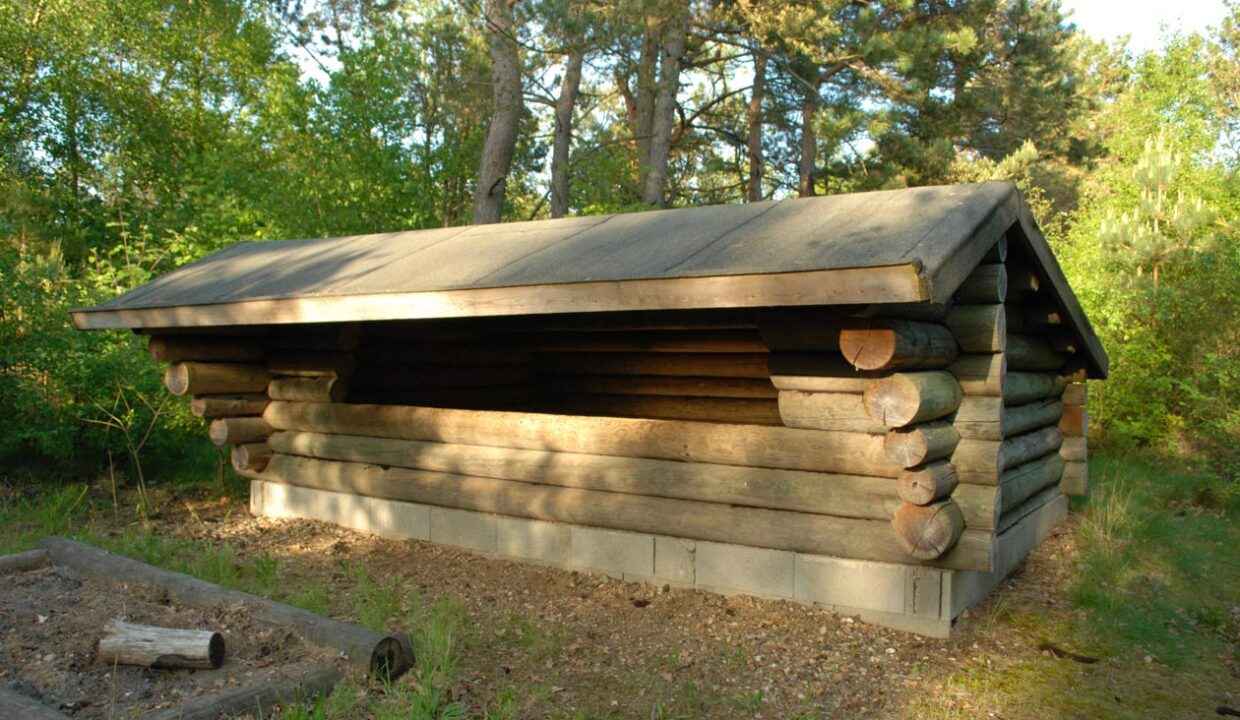 skovhyt3