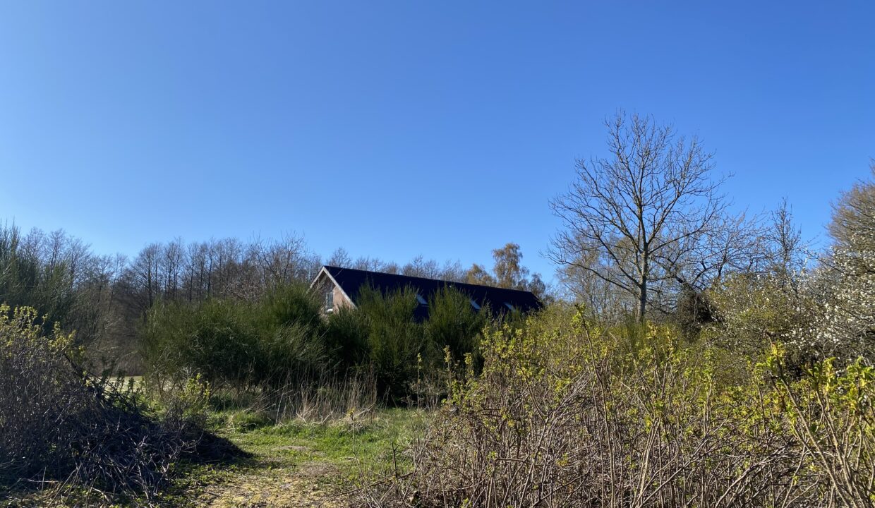 C5EC0017-5CEA-427B-9975-2D2408A82820