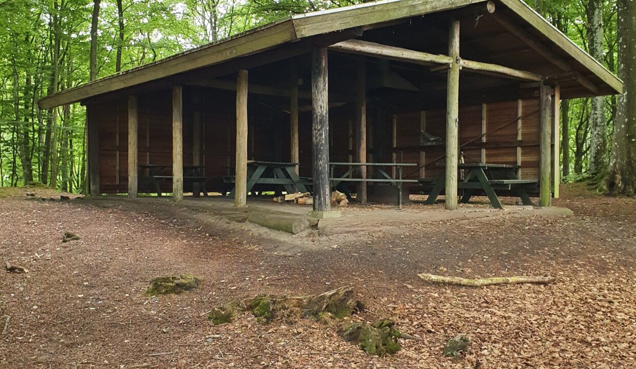 Stakladen - 20220704_135437