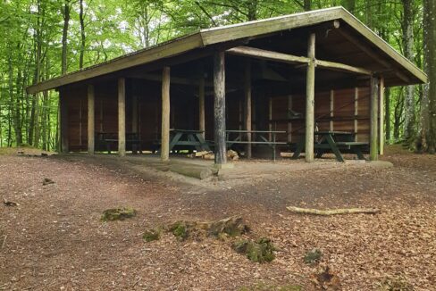 Stakladen - 20220704_135437