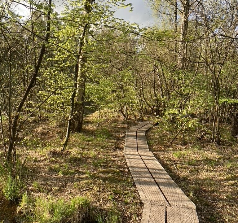 025B3881-3247-44C7-A8F2-8D2CD047AF2C_1_105_c