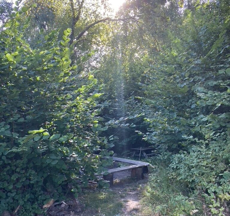 36194DF2-F837-4559-8A32-22706539AF5A_1_105_c