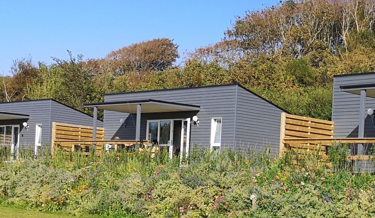 IMG_20200814_172653 - Kopi