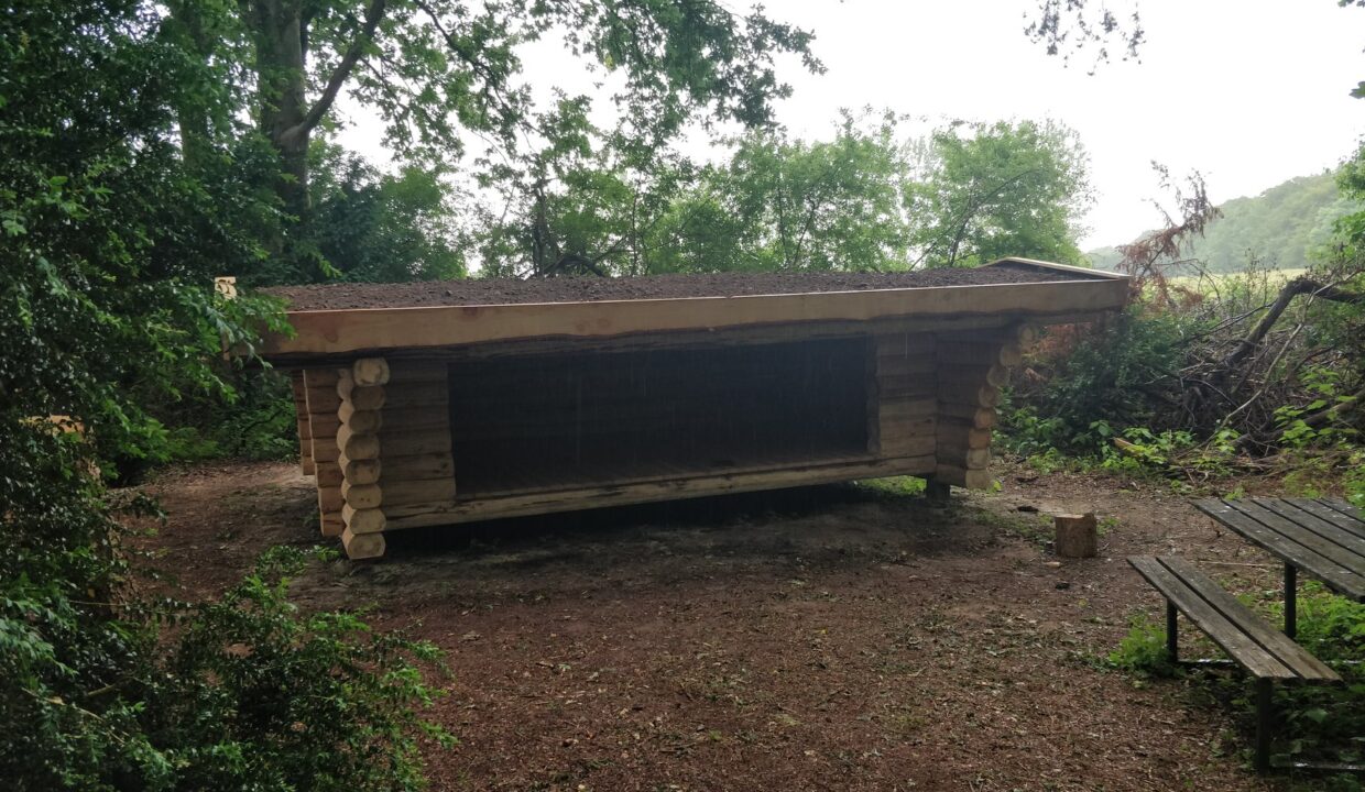 107369978_3816141898400989_2141196735027723782_n