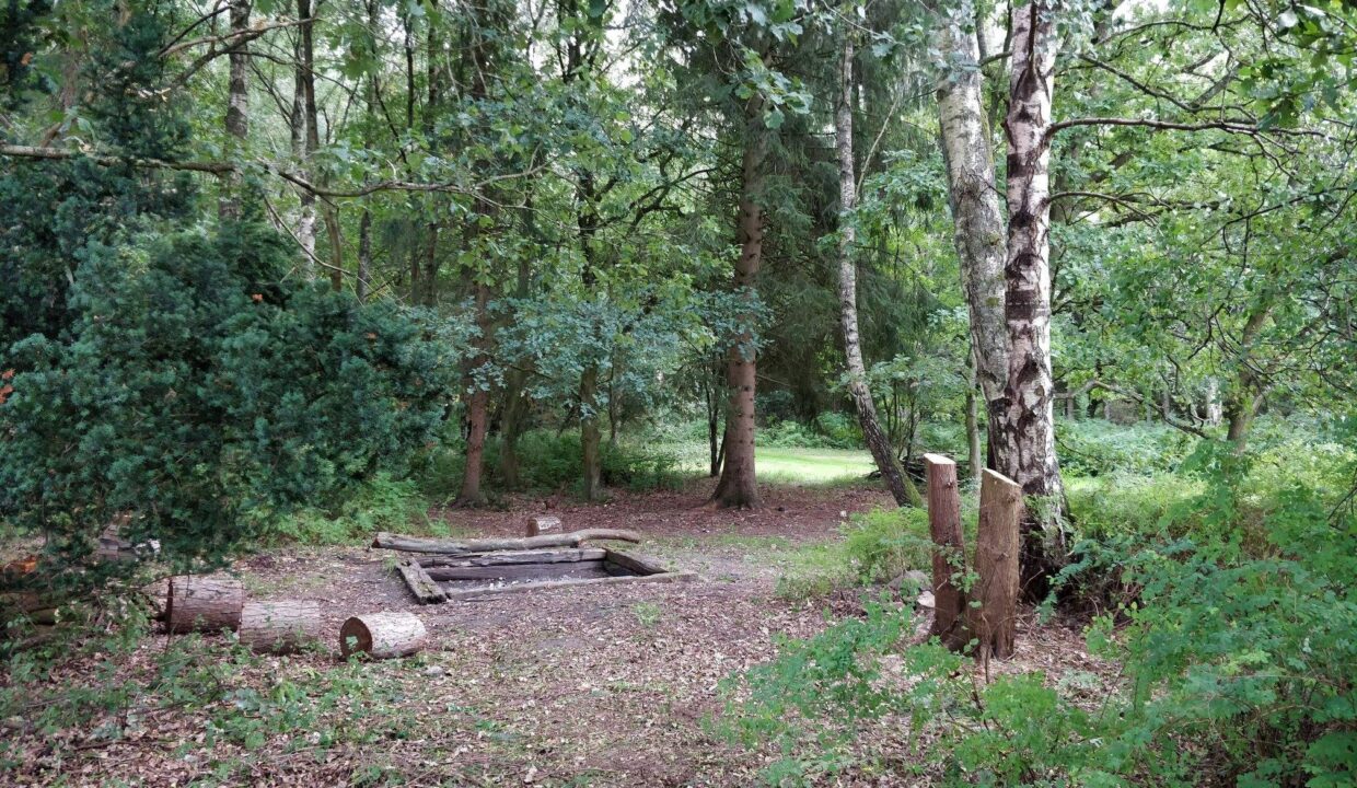 41598383_475961259589033_8696444992052264960_n