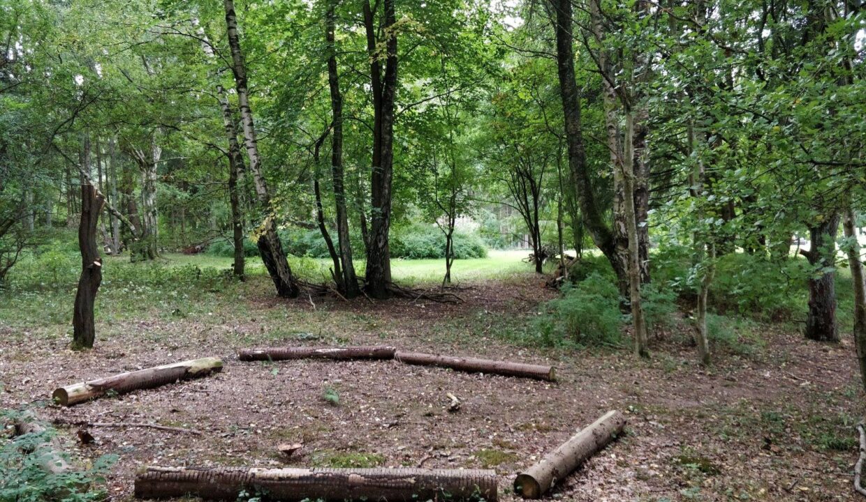 41631456_475961236255702_7510340797749788672_n