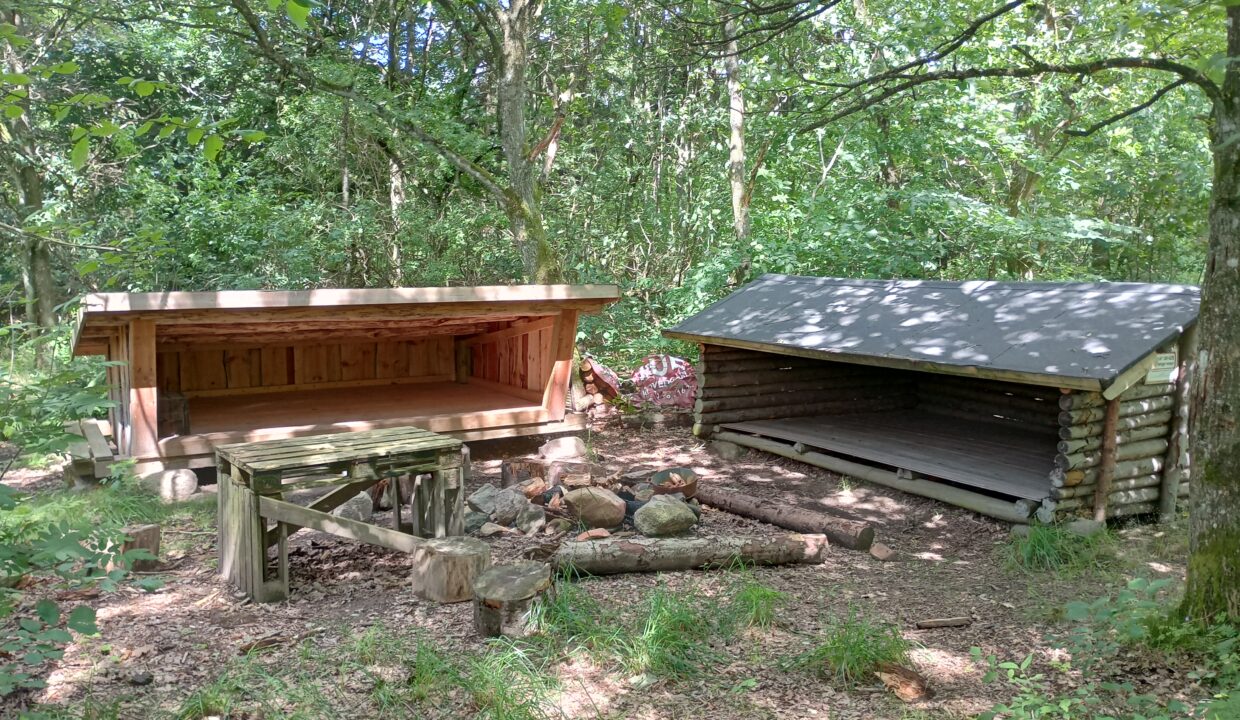 IMG_20230725_122041445_HDR