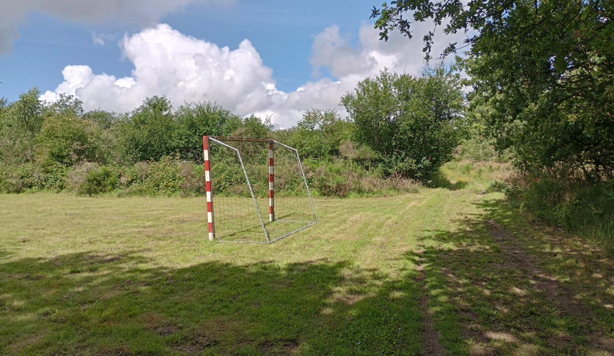 IMG_20230725_122248578_HDR