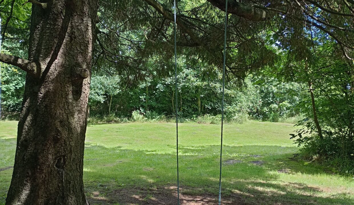 IMG_20230725_122402788_HDR