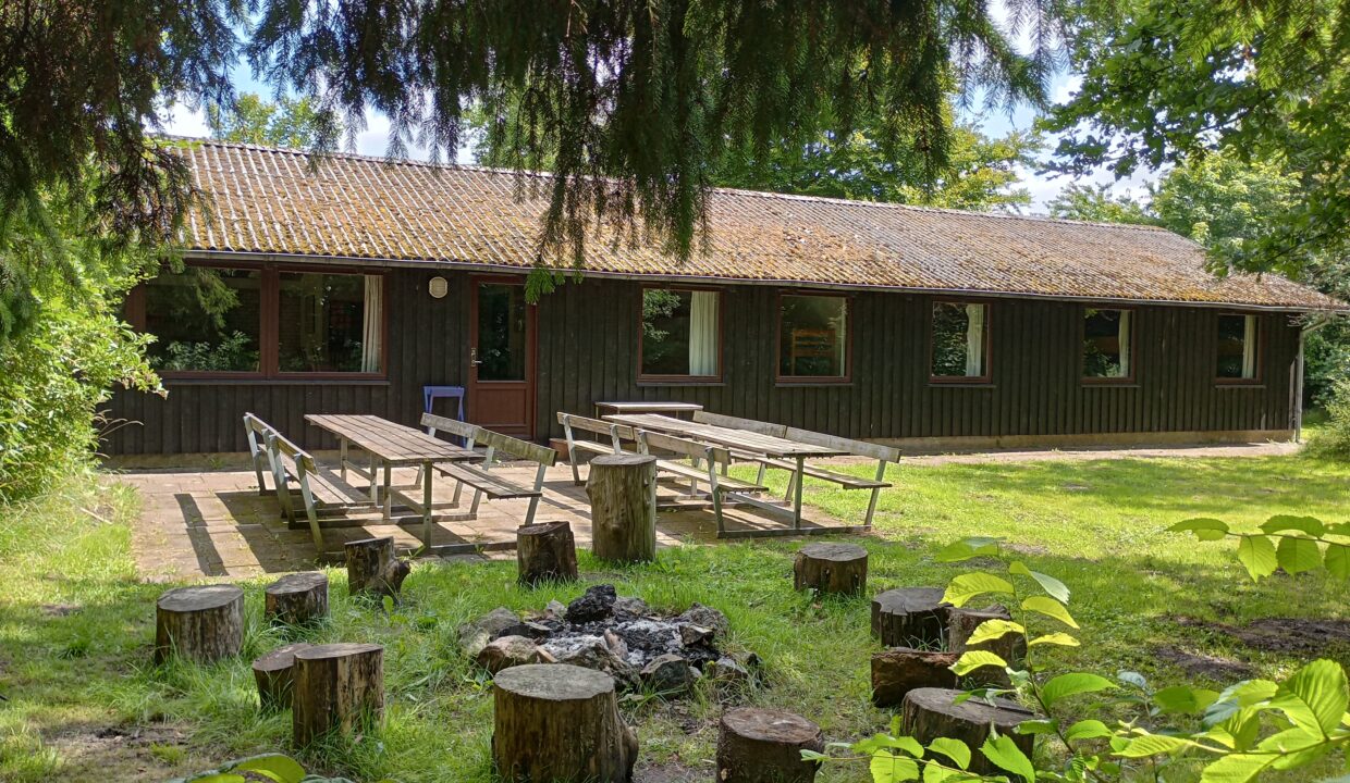 IMG_20230725_122415690_HDR