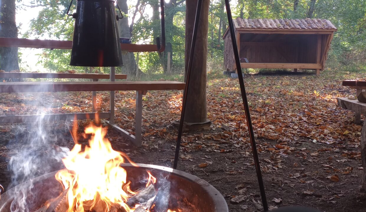 IMG_20221011_105128621