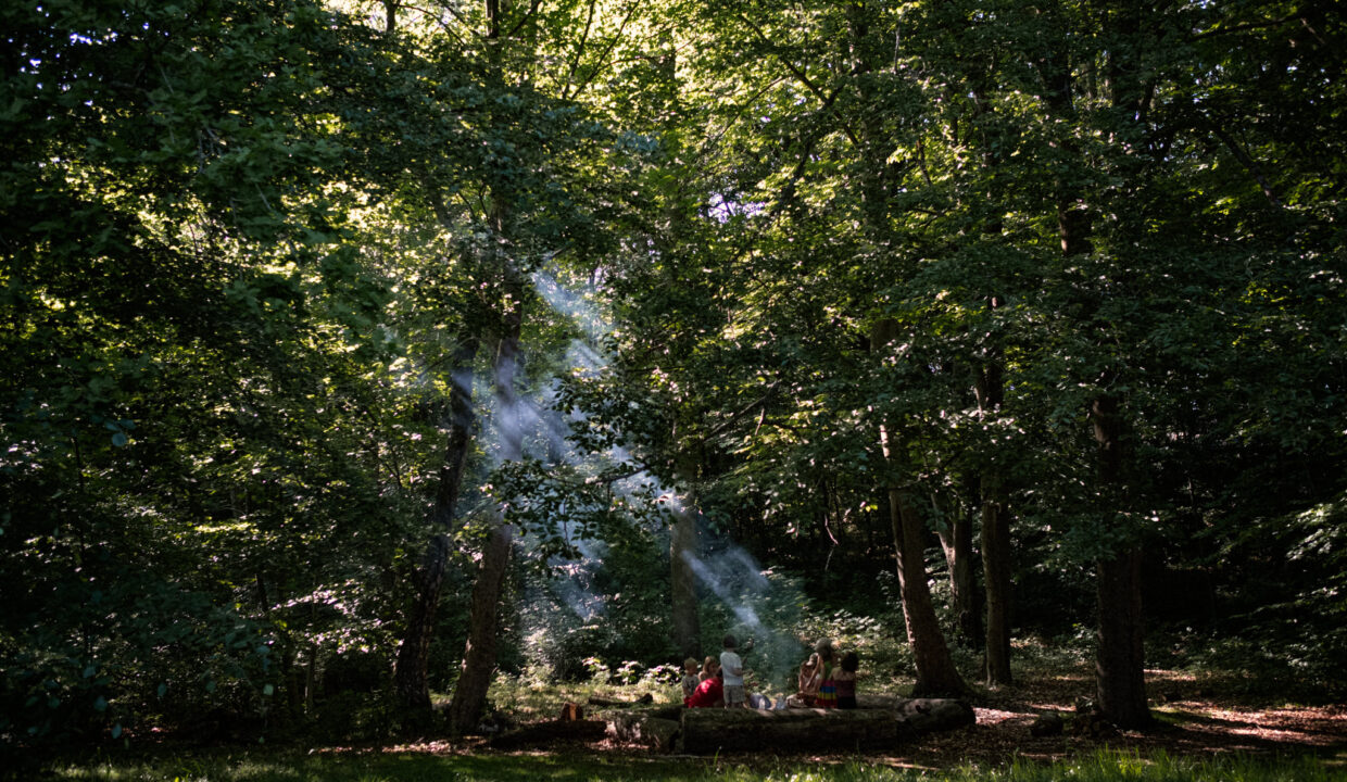 198768611_2063443690478674_1790976892645329880_n