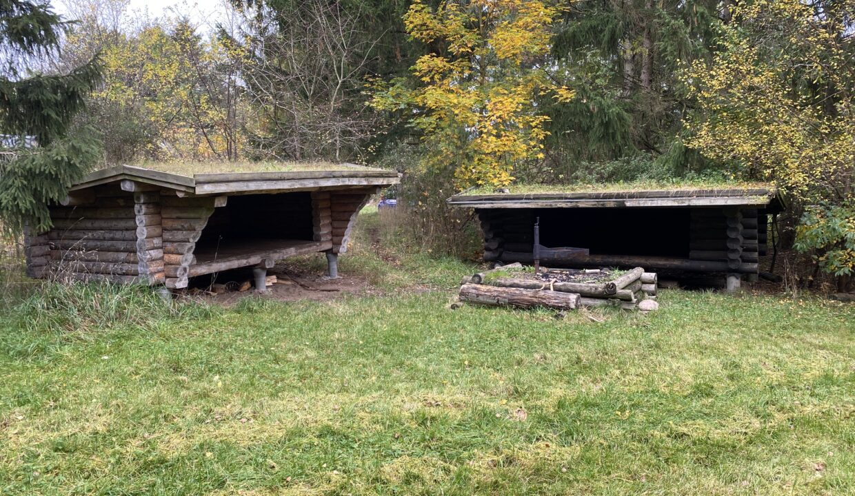 20241026_113450489_iOS