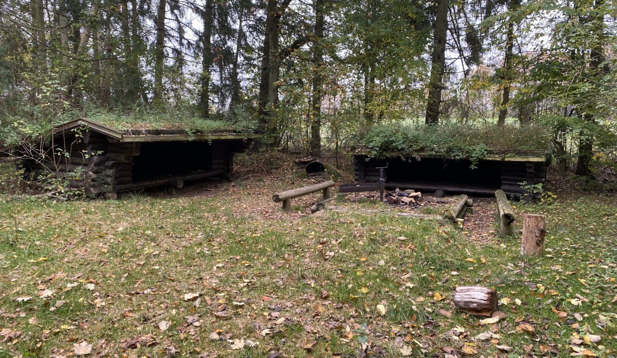 20241026_113656556_iOS