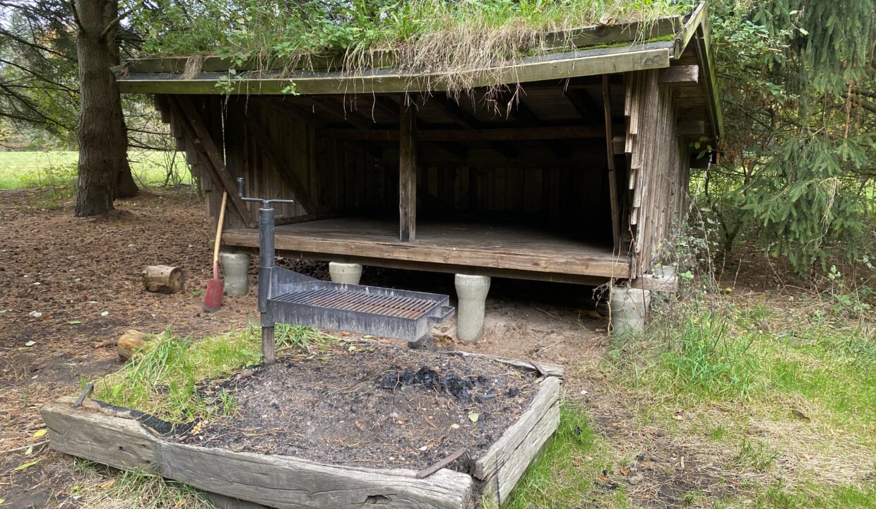 20241026_114926104_iOS