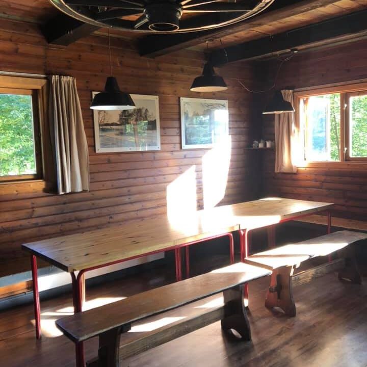 71685612_1480079935481722_7258227536029548544_n