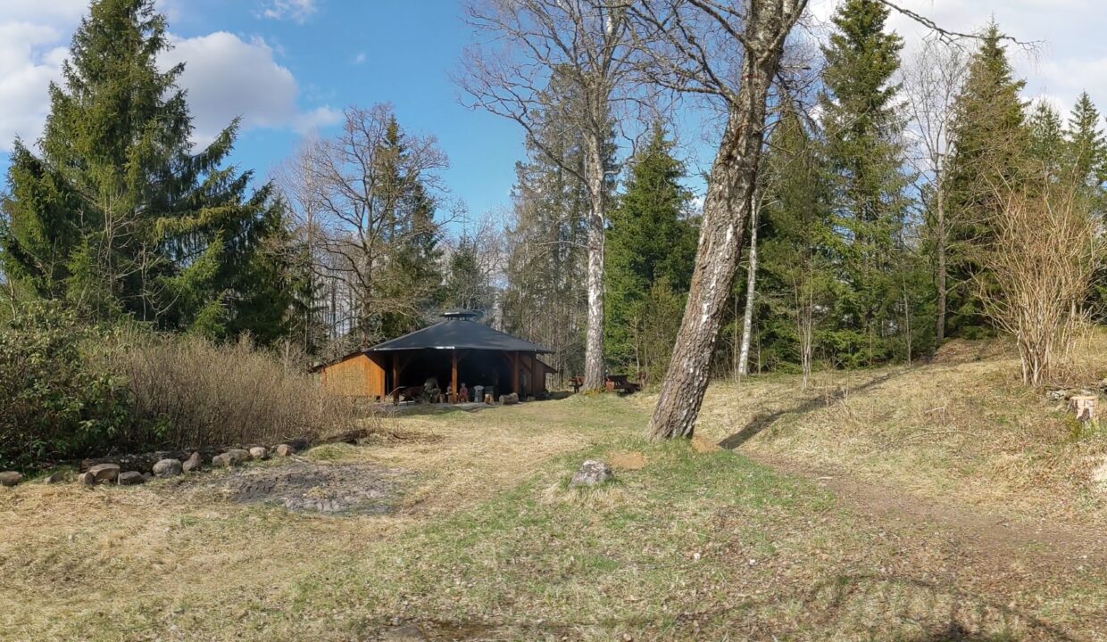 PXL_20220423_133227942.PANO