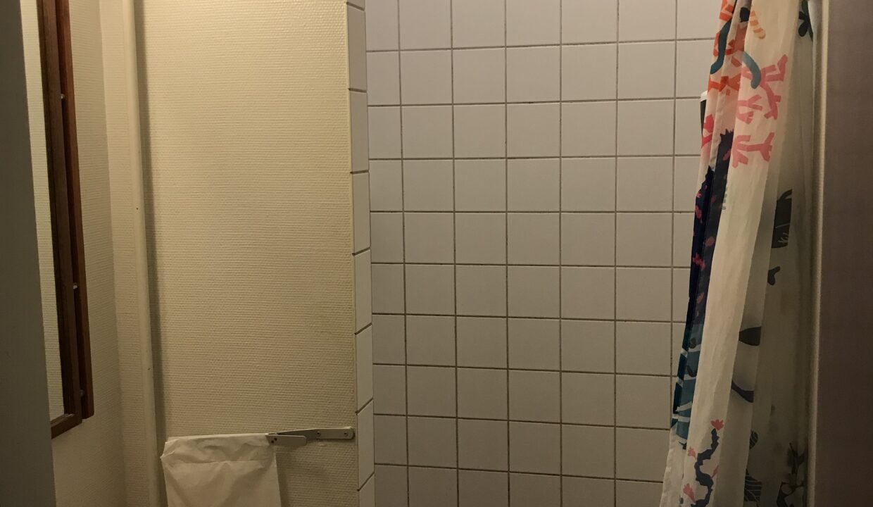 Singlebruser