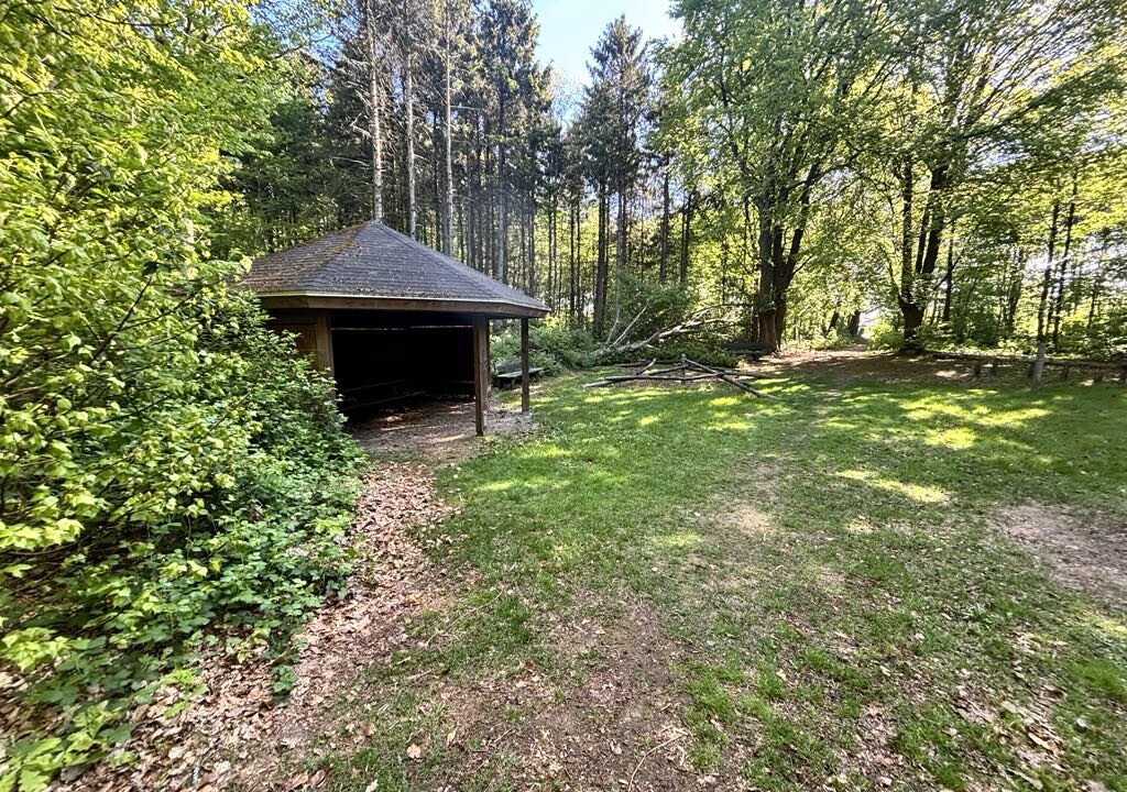 38955cb0-2151-434b-bf6d-21627230ae6f