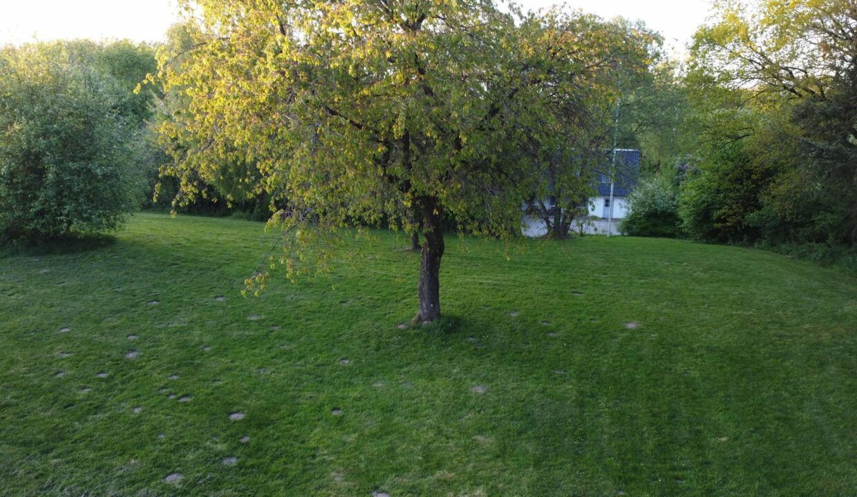 5df23820-b15c-41f6-a057-82dc306f8a3f