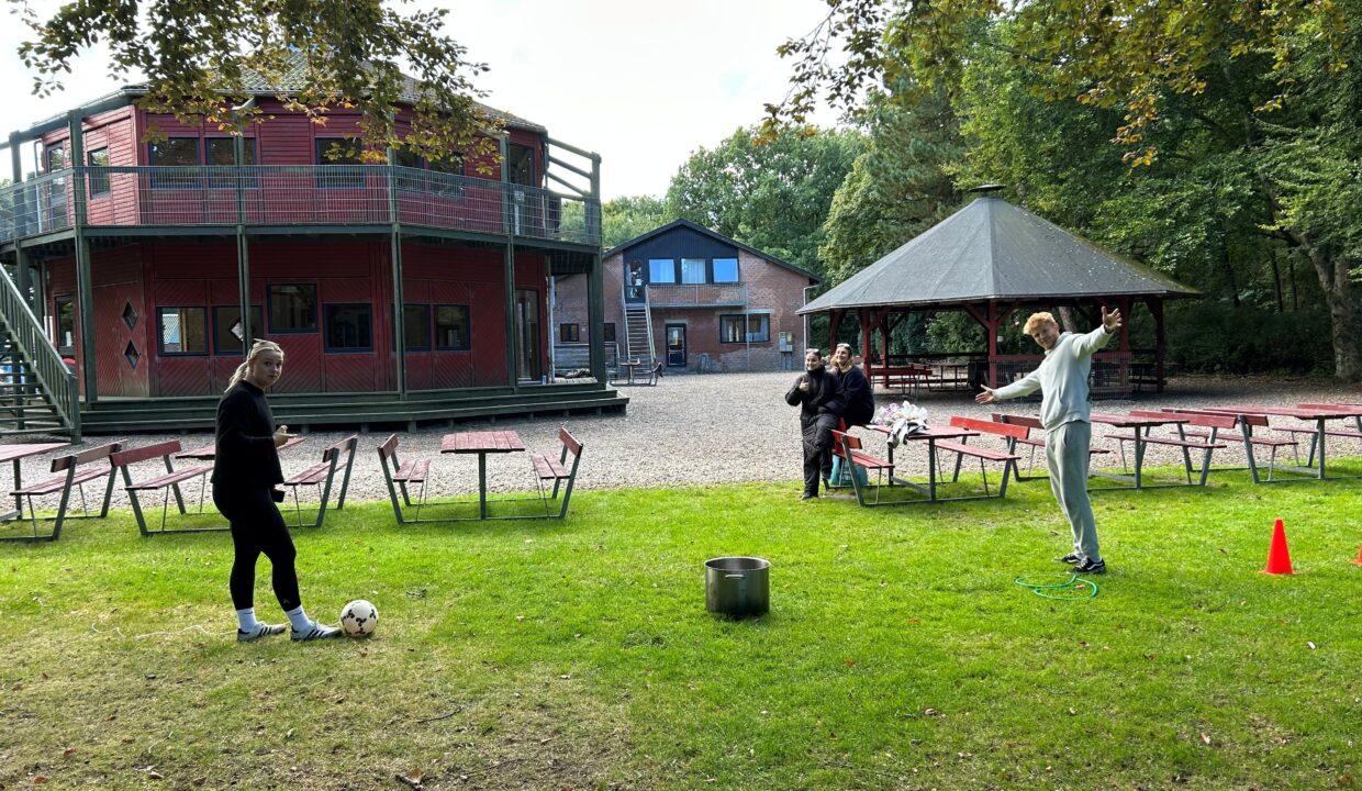 Leg ved hovedhuset