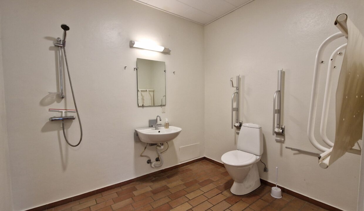 Handikaptoilet (1)