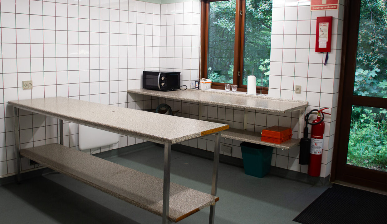 Køkken_04
